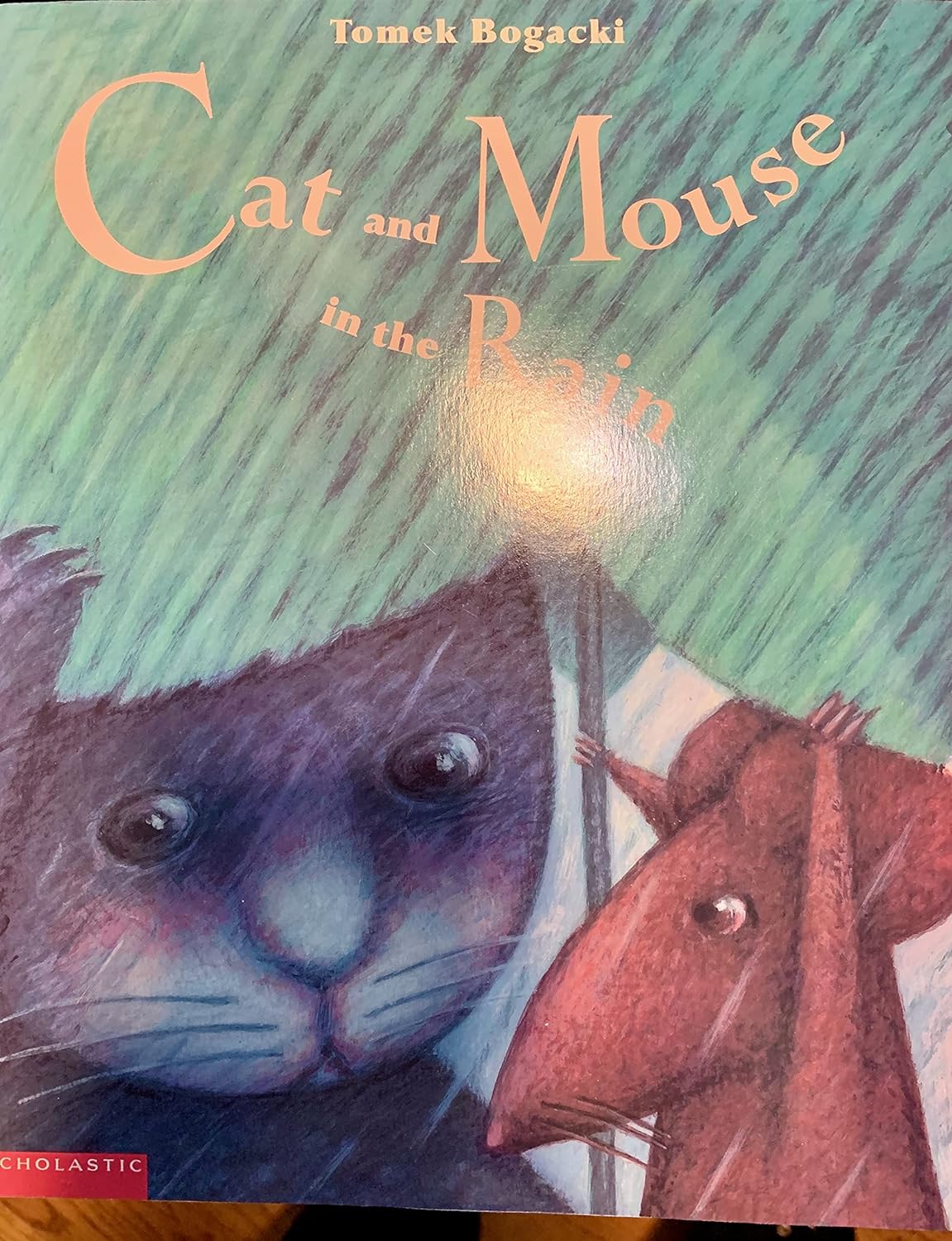 Cat and Mouse in the Rain by Tomek Bogacki (Fair, Pbk, 1999, Scholastic, 15 pgs)