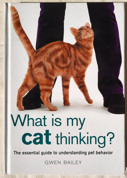 What Is My Cat Thinking? by Gwen Bailey (Very good, 2002, HC, 96 pgs)