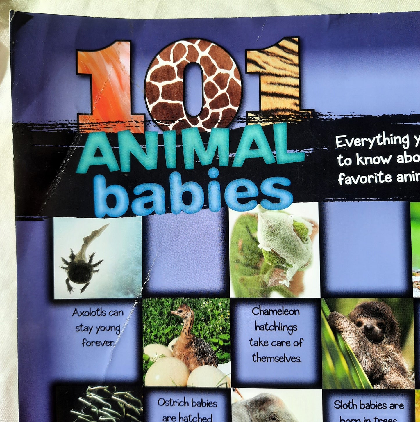 101 Animal Babies by Melvin & Gilda Berger (Good, 2013, Pbk, 112 pgs)