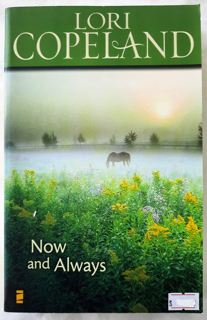 Now and Always by Lori Copeland (New w/wear, 2008, 328 pgs, Zondervan)