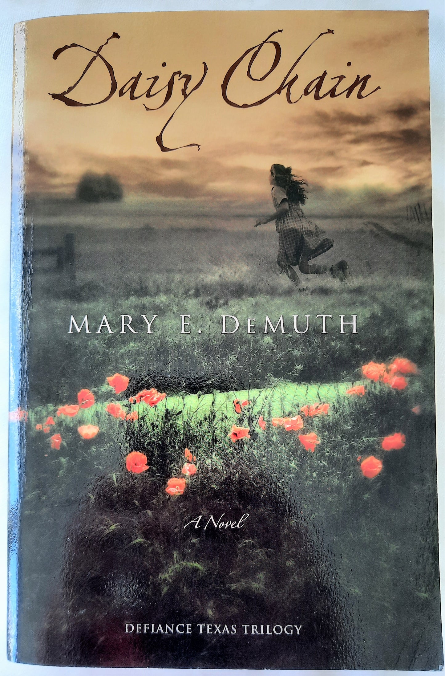 Daisy Chain #1 by Mary E. DeMuth (Very good, 2009, Pbk, 364 pages, Zondervan)