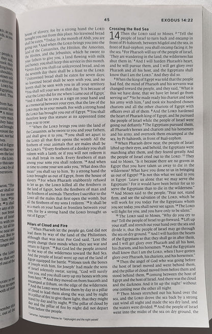 ESV The Story Bible (New, 2013, Pbk, 896 pages, Crossway, 7.5 point type)