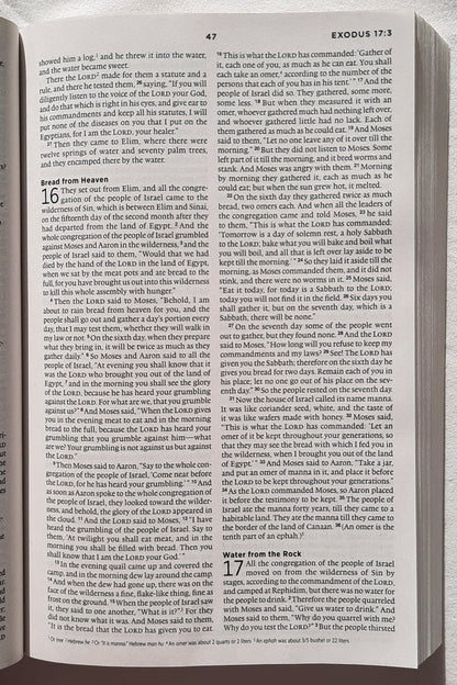 ESV The Story Bible (New, 2013, Pbk, 896 pages, Crossway, 7.5 point type)