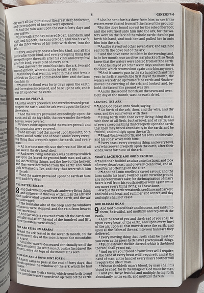 KJV Compact Value Edition Bible (New, 2019, Brown LeatherTouch, 768 pages, Holman)