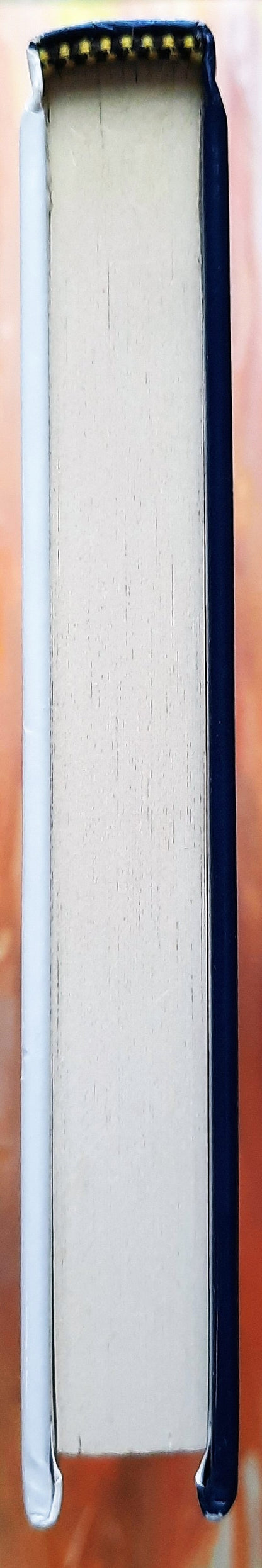 Rommels letzte Schlacht von Leo Kessler (SS-Wotan-Serie, Sehr gut, 2006, HC, 179 Seiten, Severn House)