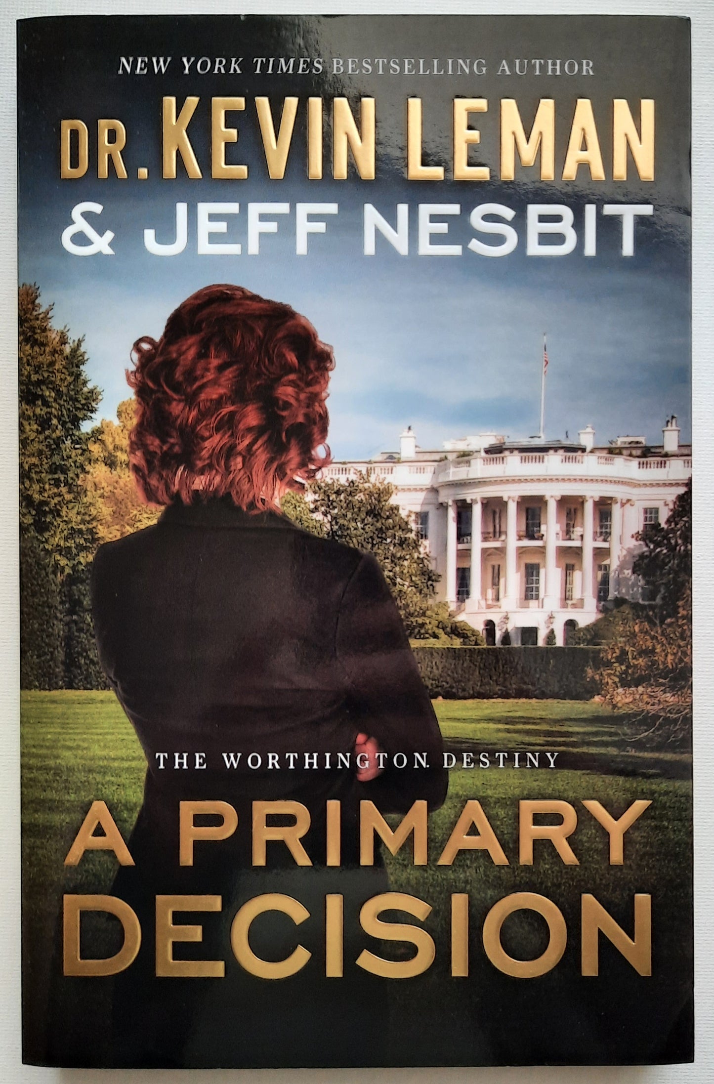 A Primary Decision #3 Kevin Leman; Jeff Nesbit (Worthington Destiny, New, 2016, Pbk, 352 pages)