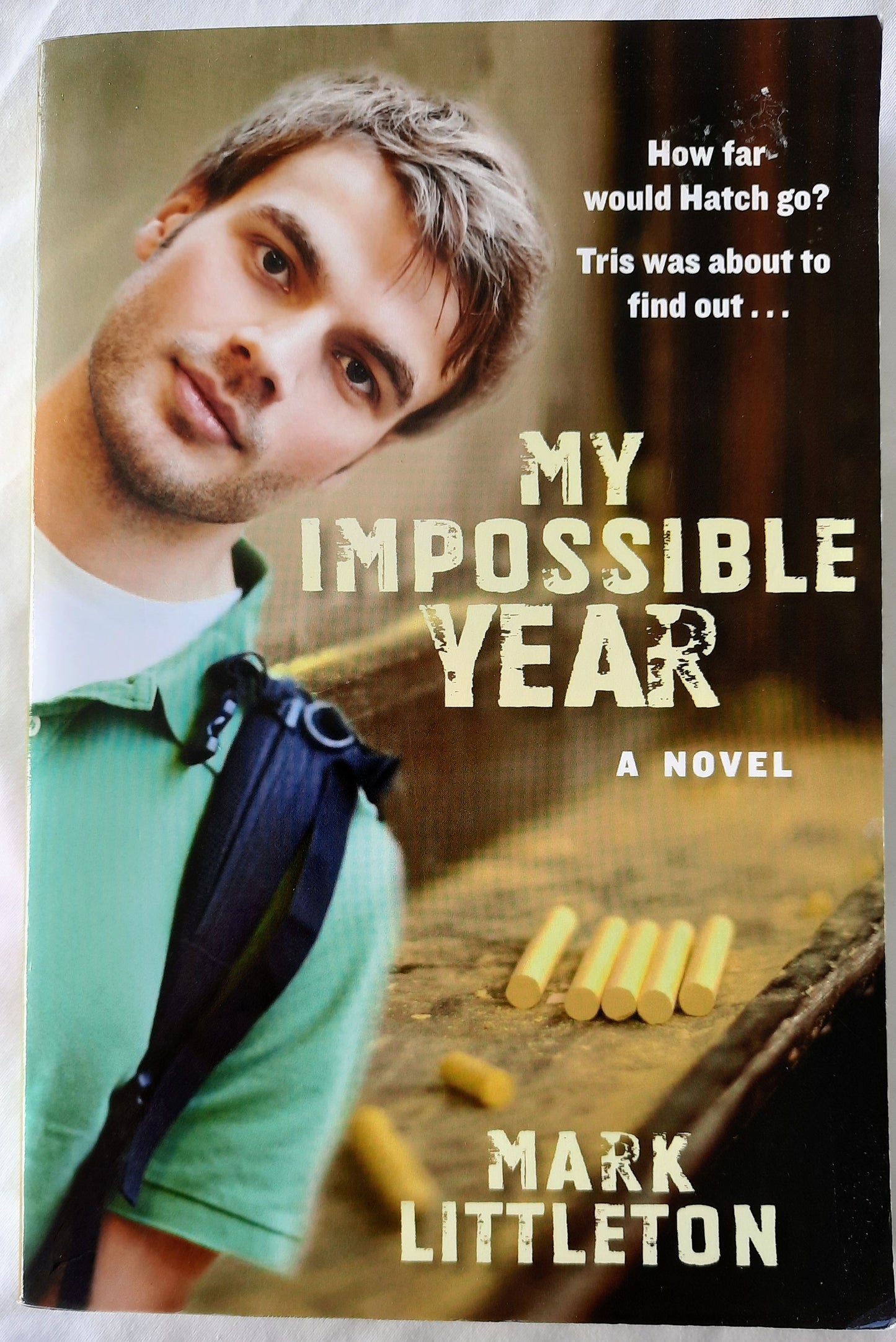 My Impossible Year by Mark Littleton (Very good, Pbk, 2010, OakTara, 448 pgs)