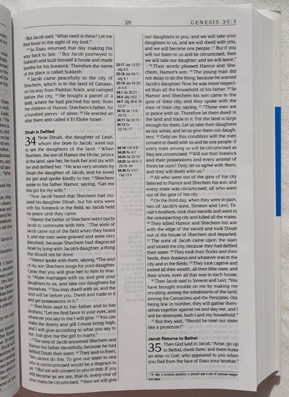 MEV Thinline Reference Bible (New, 2014, HC, 1184 pages, Passio, Red letter)