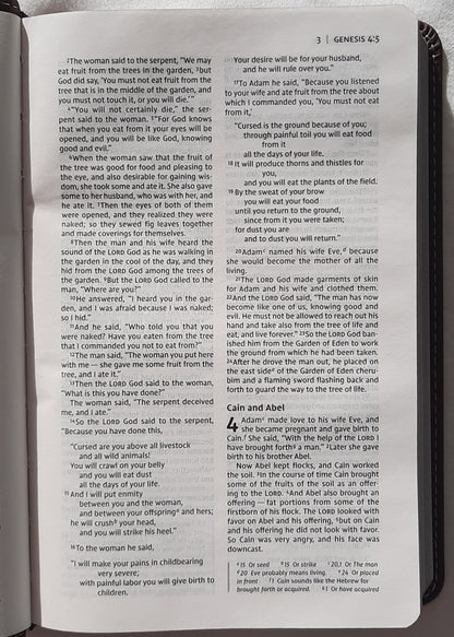NIV Thinline Compact Bible (New, 2017, Leathersoft-Pink Chocolate, 1088 pages, Zondervan)