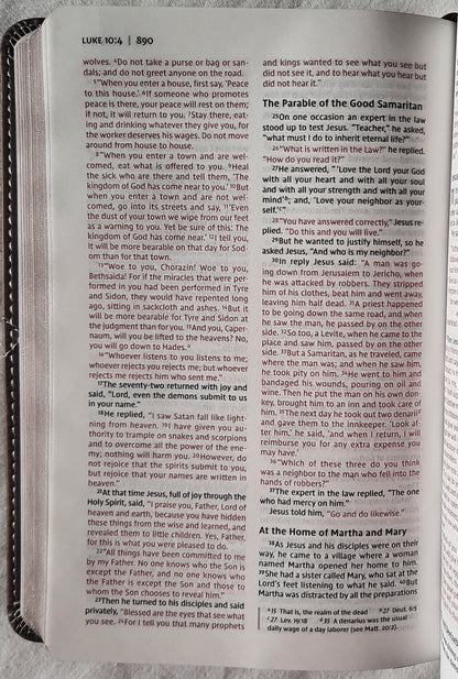 NIV Thinline Compact Bible (New, 2017, Leathersoft-Pink Chocolate, 1088 pages, Zondervan)
