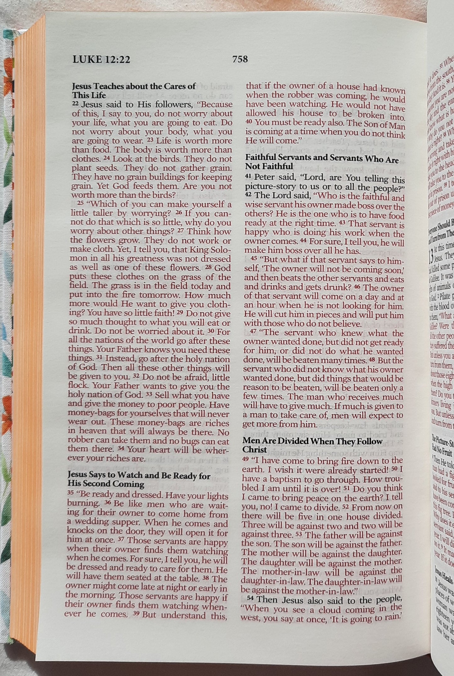 NLV Beautiful Wisdom [Bronze Botanicals] Cloth Over Board Bible (New, 2003, HC, 931 pages, Barbour)
