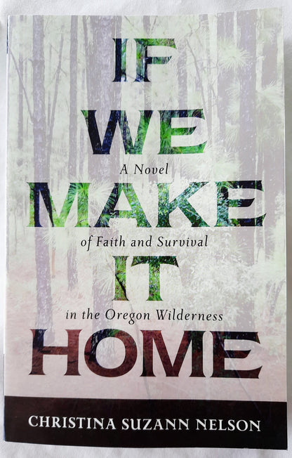 If We Make It Home by Christina S. Nelson (Like new, 2017, Pbk, 272 pgs, Kregel)