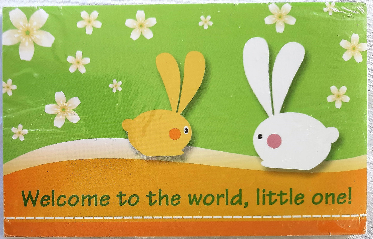 Welcome to the World, Little One! Outreach Postcards Psalm 127:3 (New, 25/pack)