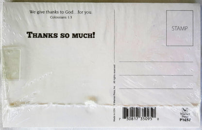 You're Super! Thanks so much! Outreach Postcards Colossians 1:3 (New, 25/pack)