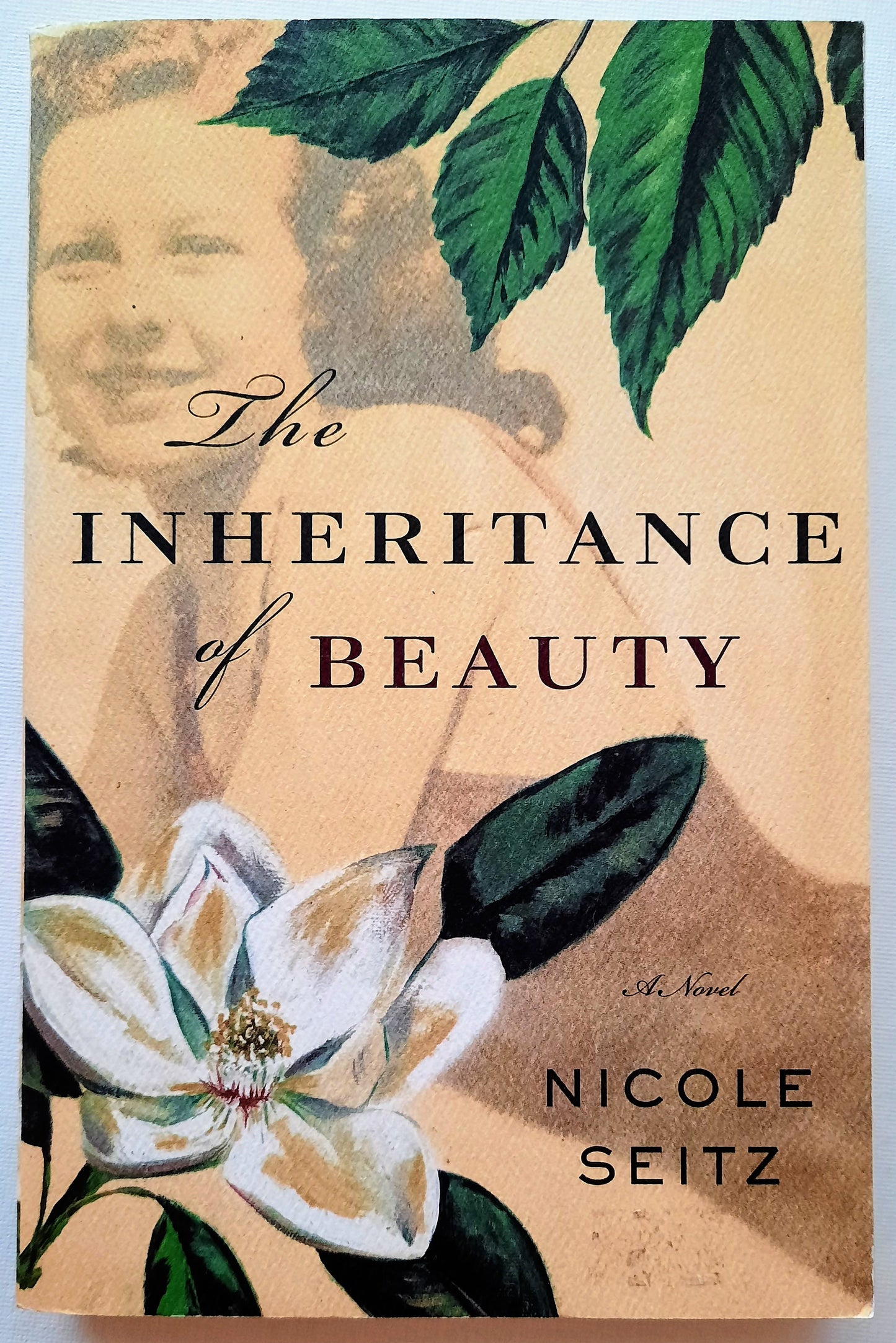 The Inheritance of Beauty by Nicole Seitz (Very good, 2011, Pbk, 307 pgs)