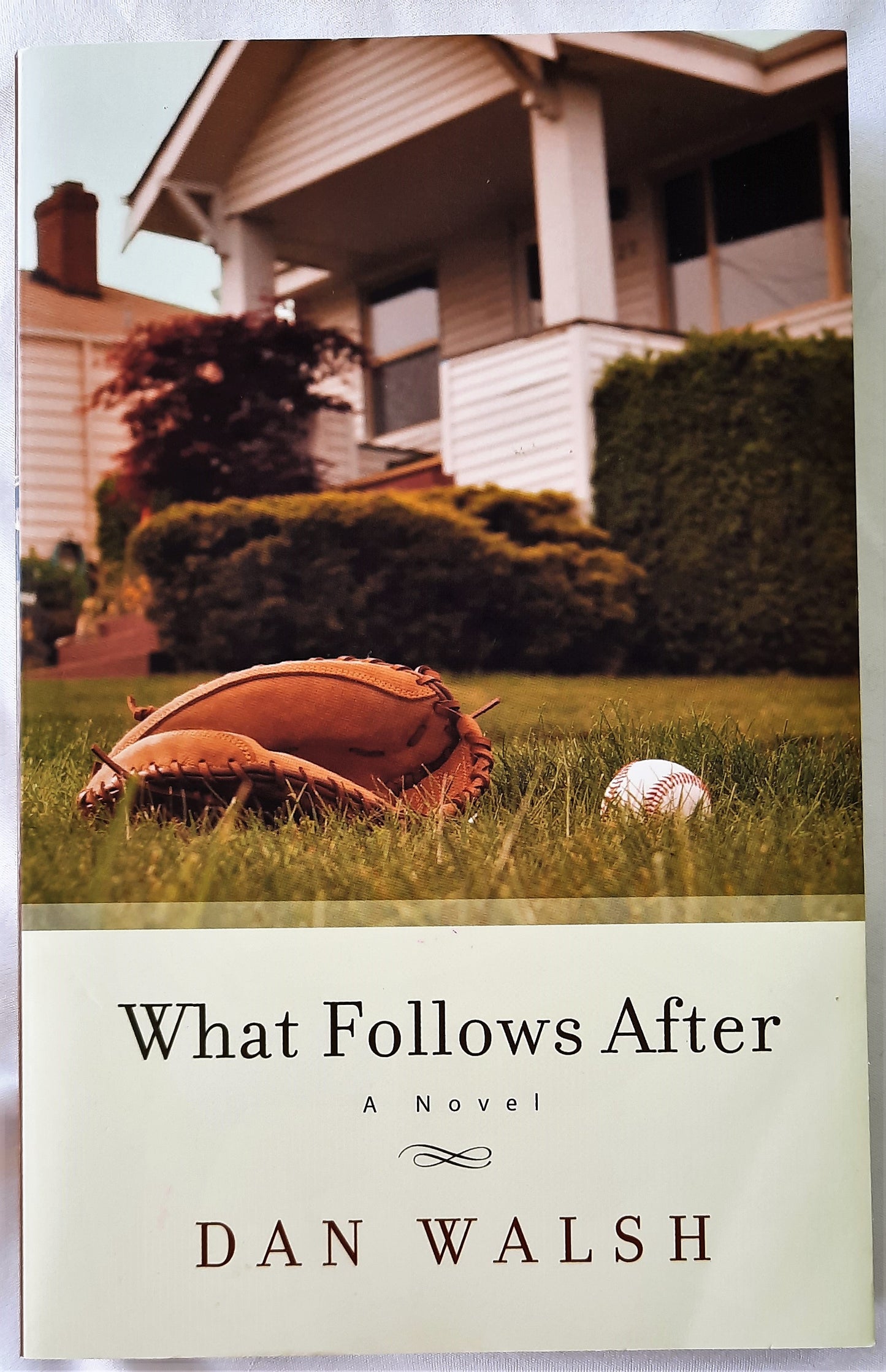 What Follows After by Dan Walsh (Very good, Pbk, 2014, Revell, 316 pages)