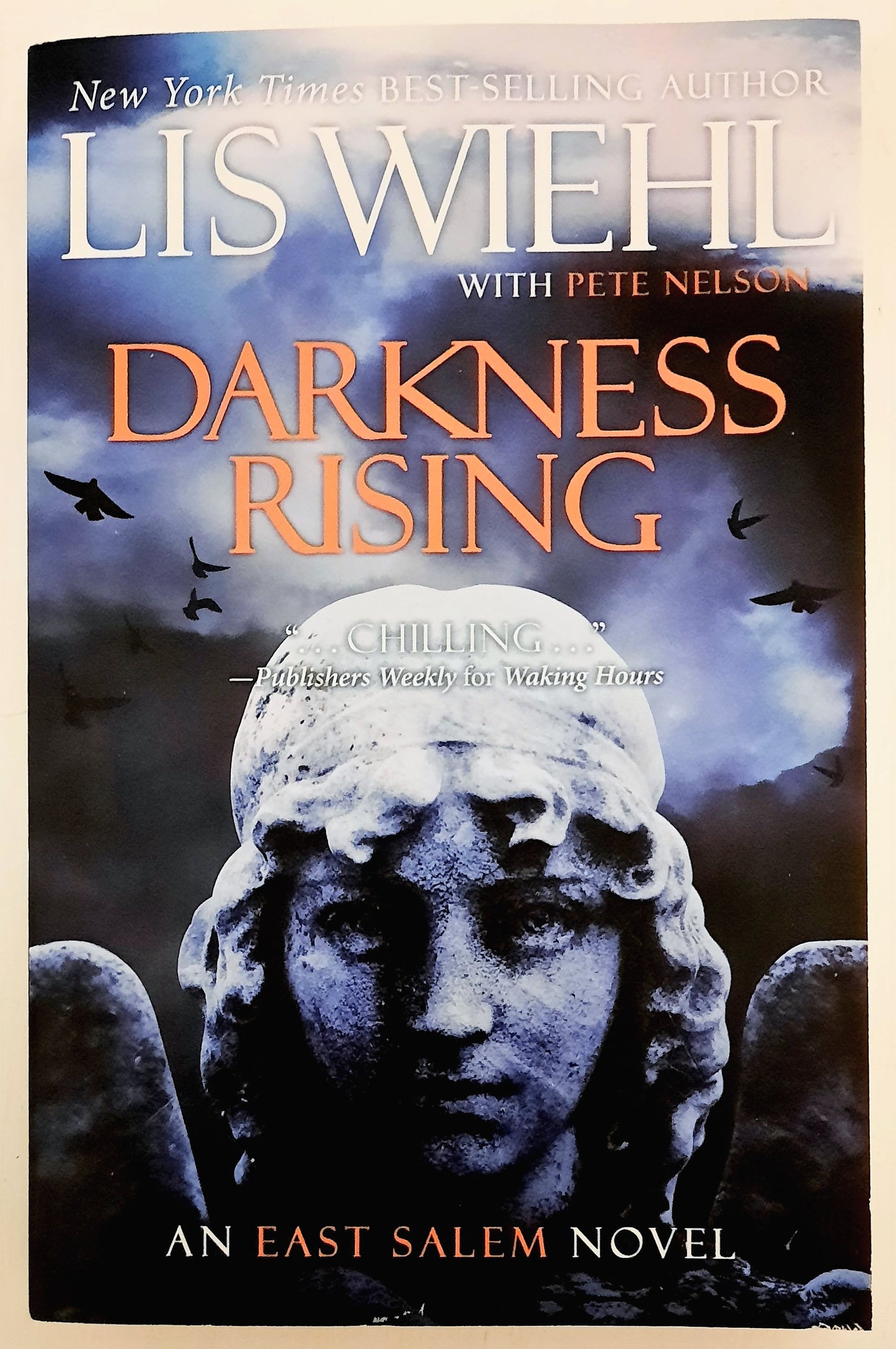 Darkness Rising #2 by Lis Wiehl; Pete Nelson (East Salem, Very good, 2012, Pbk)