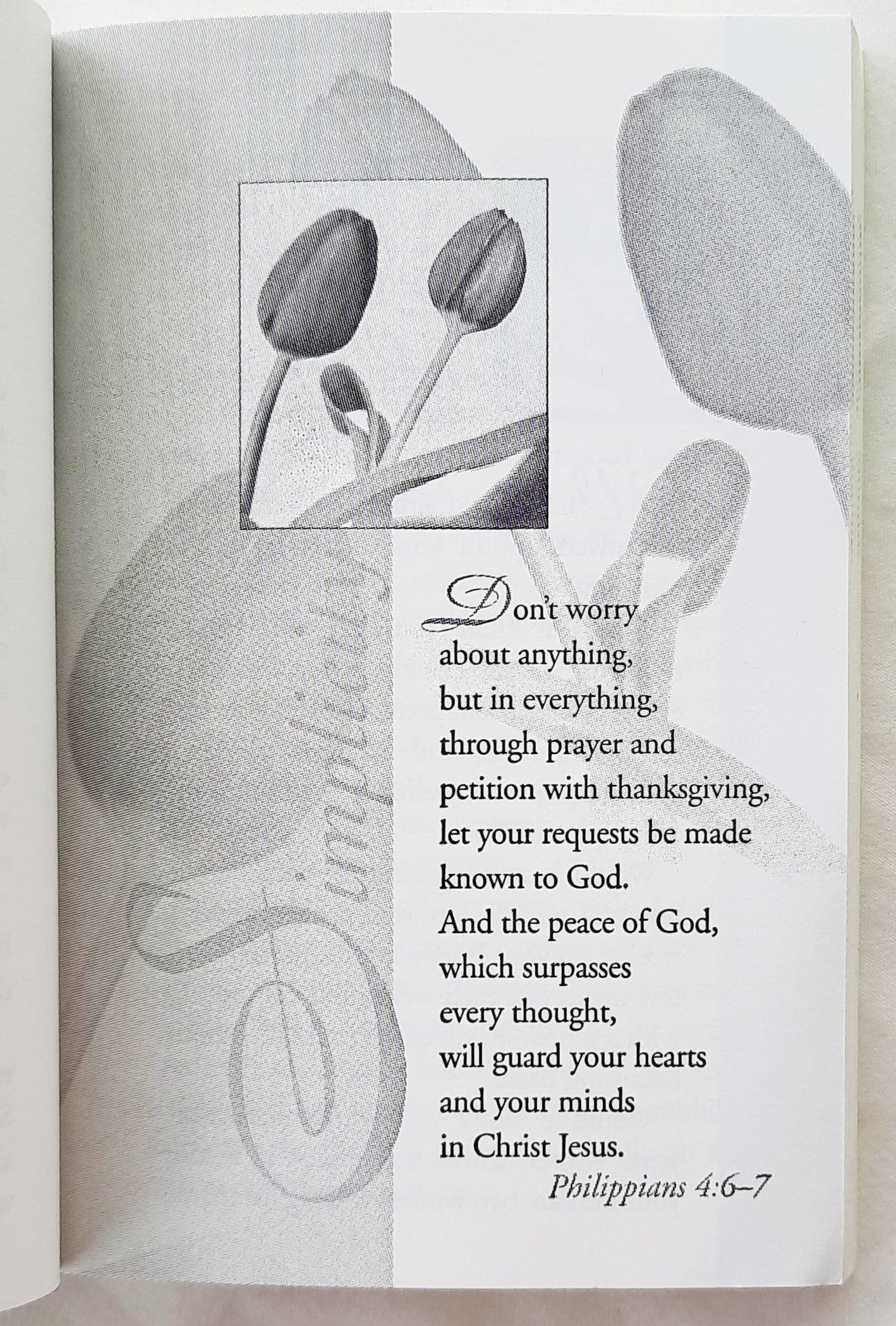 A Love So Real: Readings and Scripture for the Heart of a Woman von Broadman & Holman (Sehr gut, 2004, Taschenbuch, 167 Seiten)