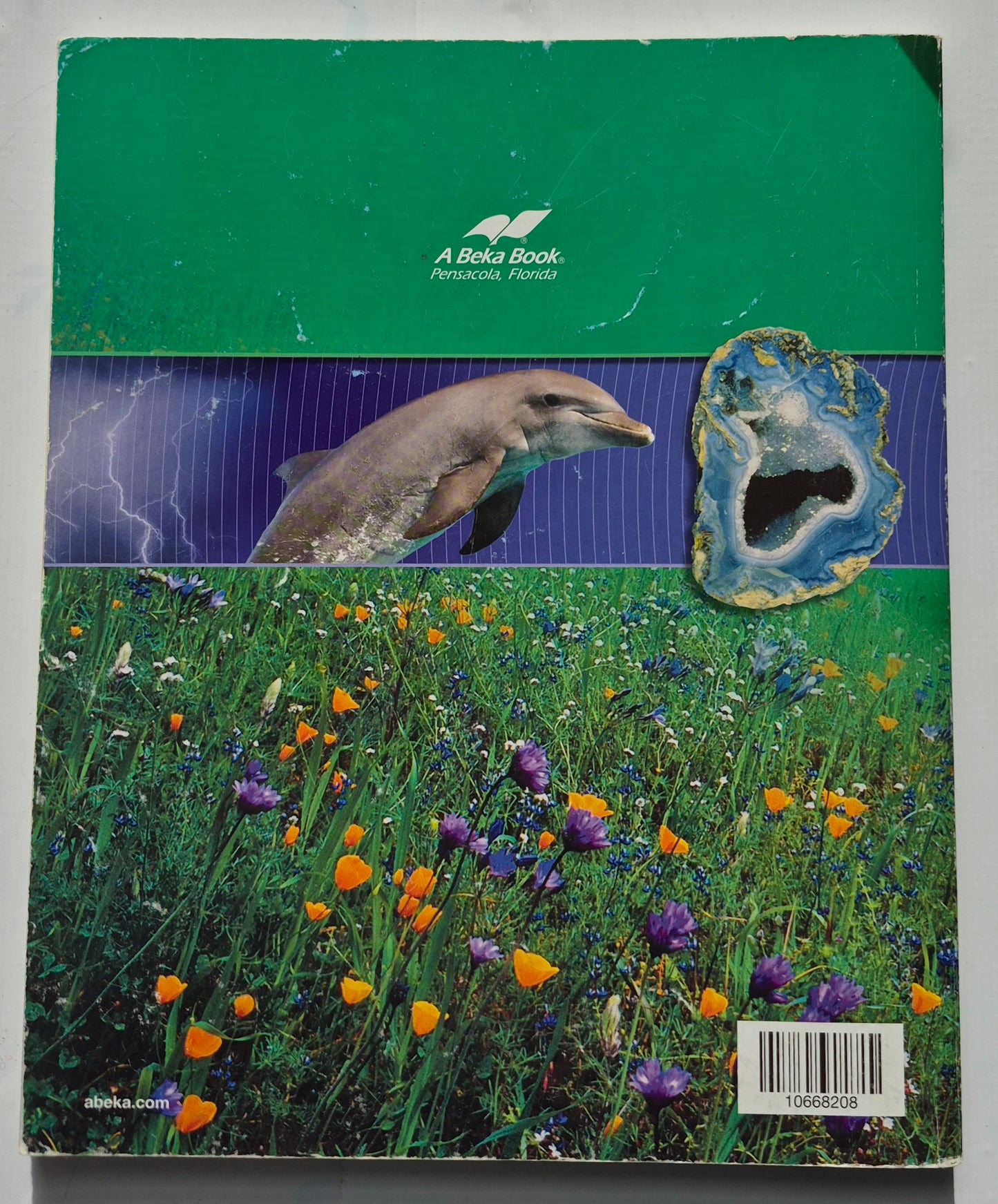 Abeka Understanding God's World Fourth Ed. Grade 4 Textbook (Good, 2008, Pbk, 237 pages, A Beka Book)