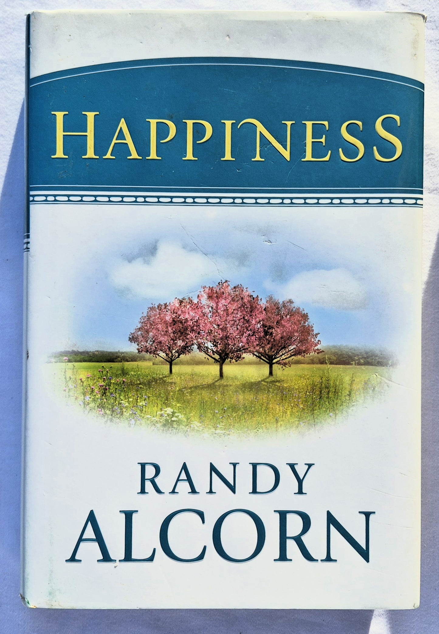 Happiness by Randy Alcorn (New, 2015, HC, 480 pages, Tyndale House)