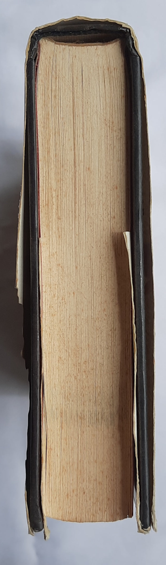 Safely Home by Randy Alcorn (Author's Signature, Very good, 2001, HC, 402 pages, Tyndale House)