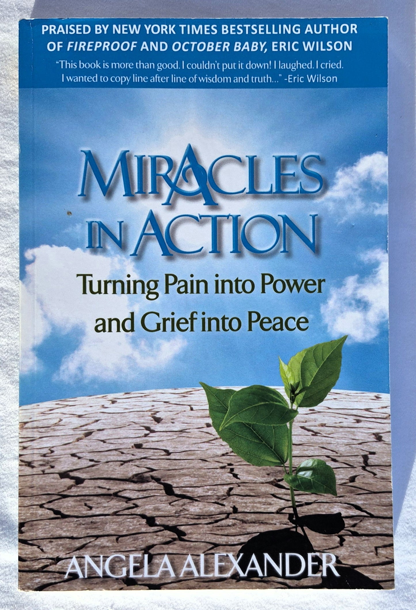 Miracles in Action: Turning Pain into Power and Grief into Peace von Angela Alexander (Sehr gut, 2013, Taschenbuch, 180 Seiten, Running Springs Press)