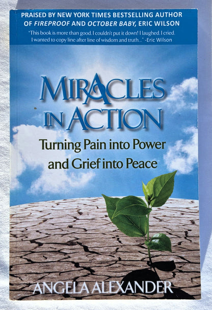 Miracles in Action: Turning Pain into Power and Grief into Peace von Angela Alexander (Sehr gut, 2013, Taschenbuch, 180 Seiten, Running Springs Press)