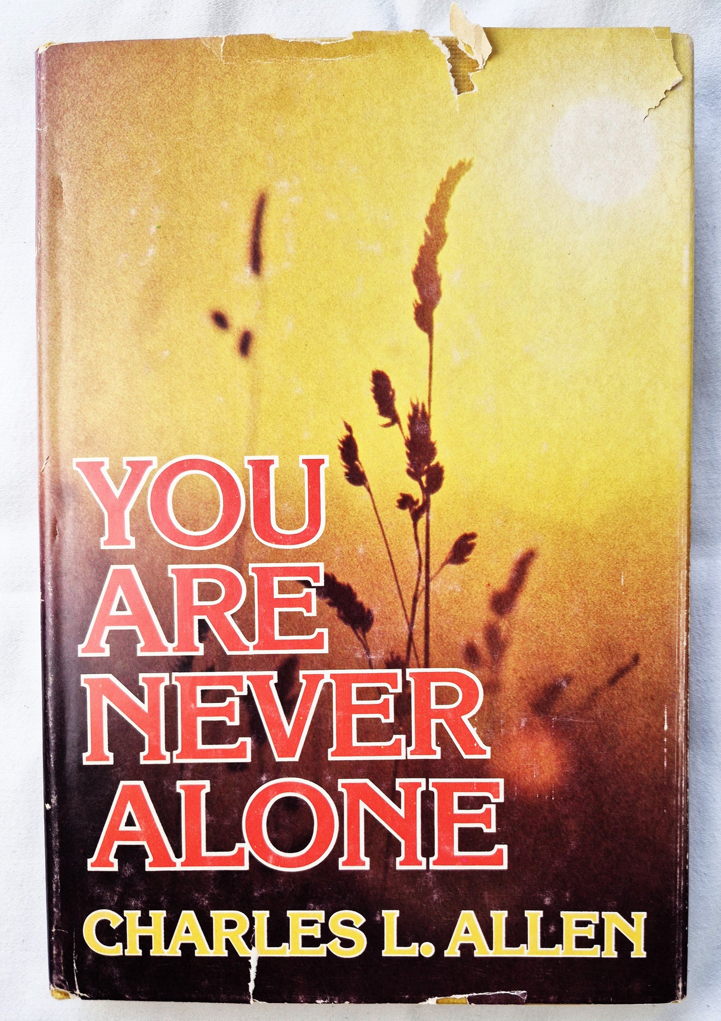 You Are Never Alone von Charles L. Allen (Sehr gut, 1978, geb., 159 Seiten, Fleming H. Revell)