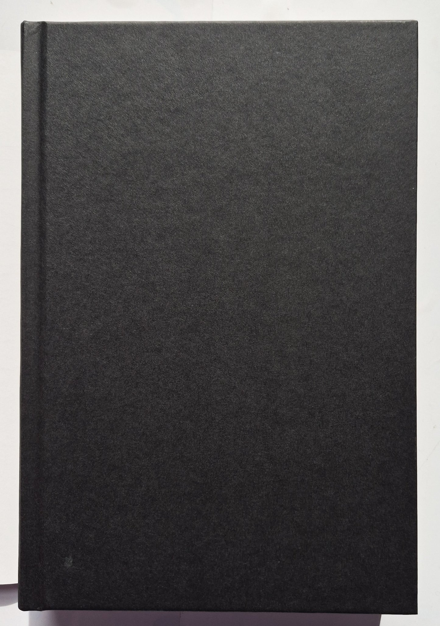 If I Were you von Lynn Austin (Neu, 2020, HC, 455 Seiten, Tyndale Fiction)