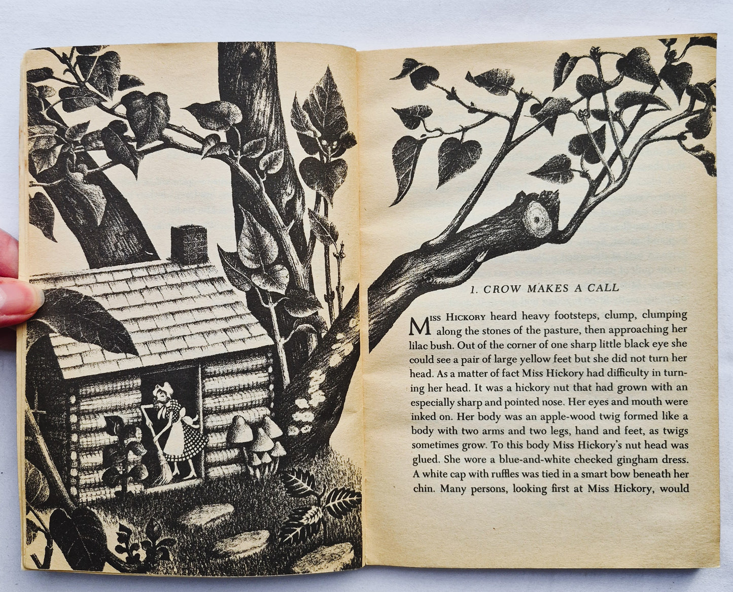 Miss Hickory von Carolyn Sherwin Bailey (Gut, 1974, Taschenbuch, 125 Seiten, Puffin Books)