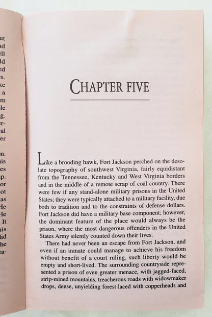 The Simple Truth by David Baldacci (Good, 1999, Pbk, 528 pages, Hachette)