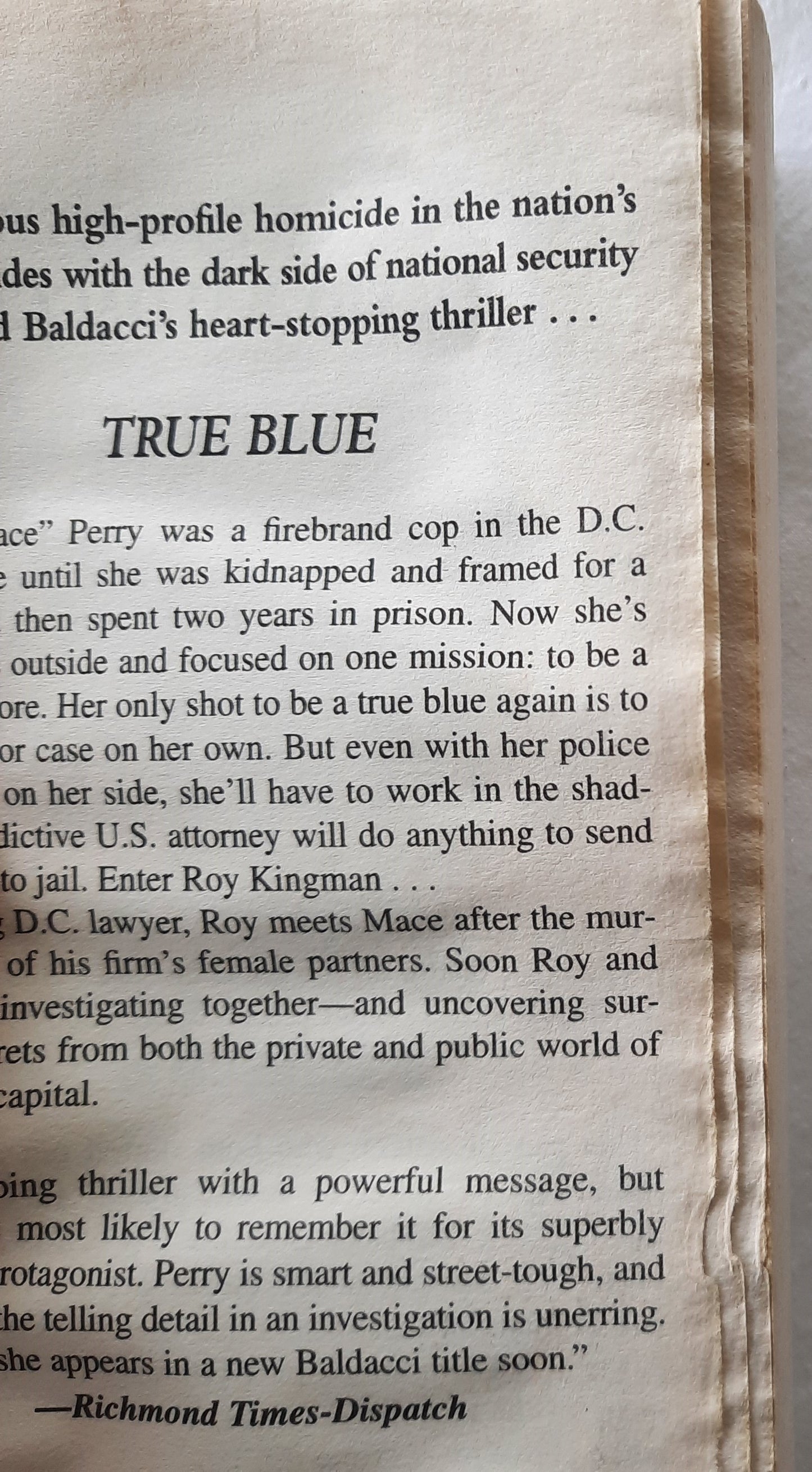 True Blue by David Baldacci (Good, 2010, Pbk, 588 pages, Vision/Hatchette)