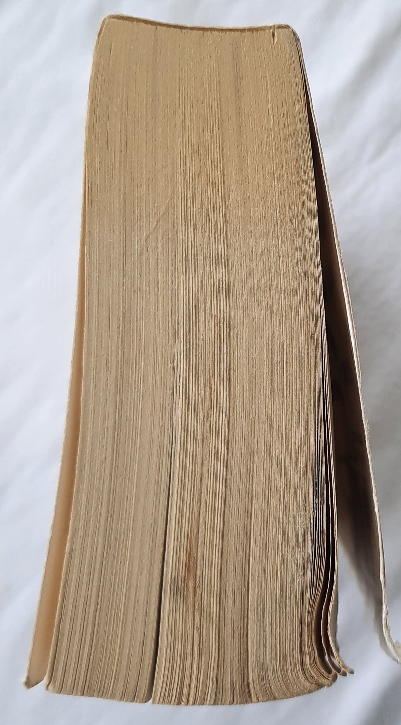 True Blue by David Baldacci (Good, 2010, Pbk, 588 pages, Vision/Hatchette)