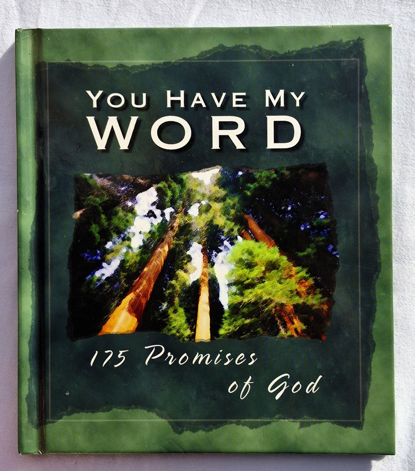 You Have My Word: 175 Promises of God von Barbour Publishing (Sehr gut, 1999, gebunden, 40 Seiten)