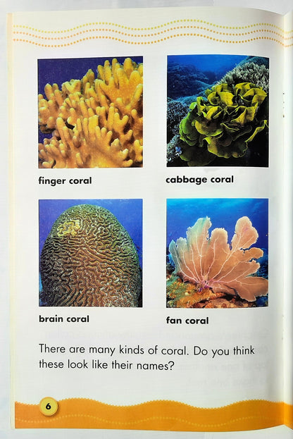 Science Vocabulary Readers: Coral Reef Homes by Jeff Bauer (Very good, 2007, Pbk, 16 pages, Scholastic)