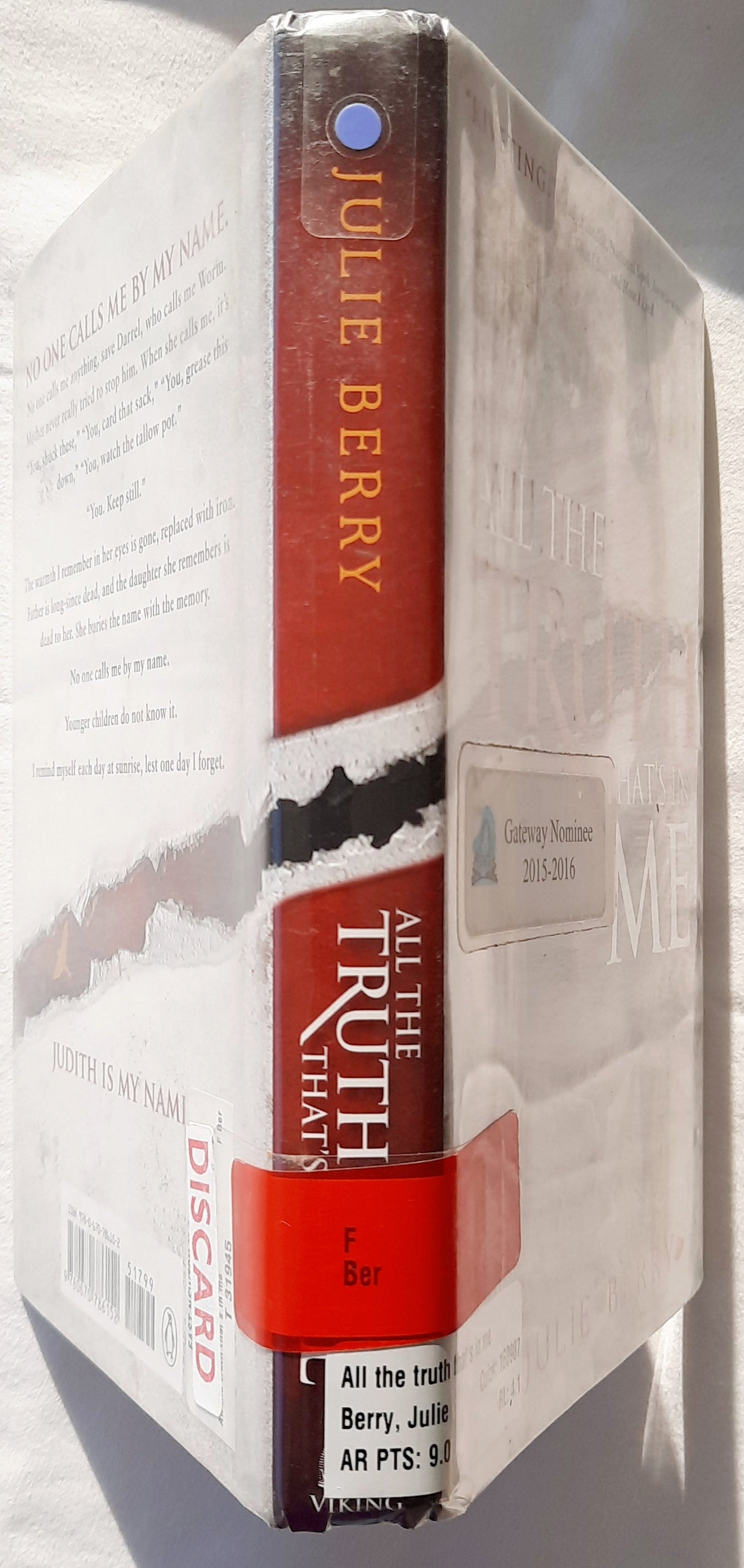All the Truth That's in Me von Julie Berry (Sehr gut, 2013, gebunden, 274 Seiten, Viking Press)