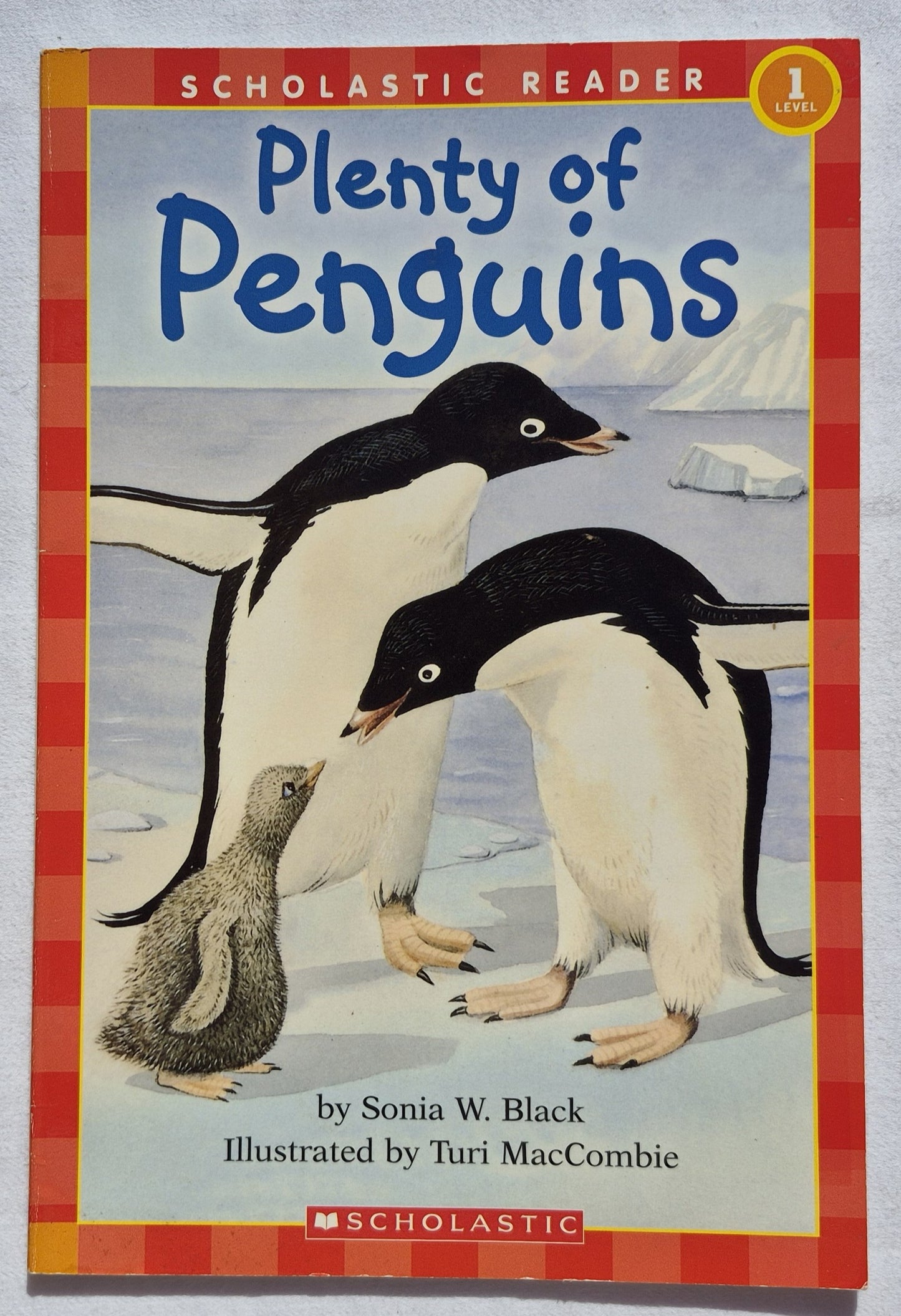 Plenty of Penguins von Sonia W. Black (Lesestufe 1, Sehr gut, 1999, Taschenbuch, 32 Seiten, Scholastic)