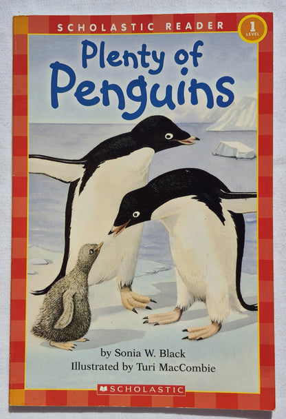Plenty of Penguins von Sonia W. Black (Lesestufe 1, Sehr gut, 1999, Taschenbuch, 32 Seiten, Scholastic)