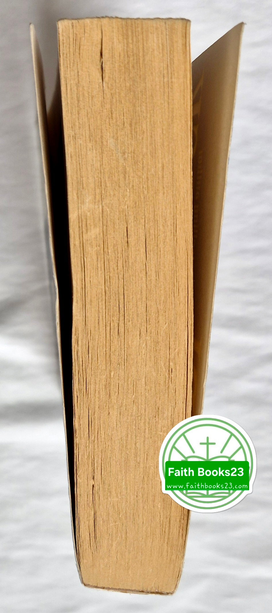 Last Light #1 von Terri Blackstock (Restoration Roman, Gut, 2005, Taschenbuch, 381 S., Zondervan)