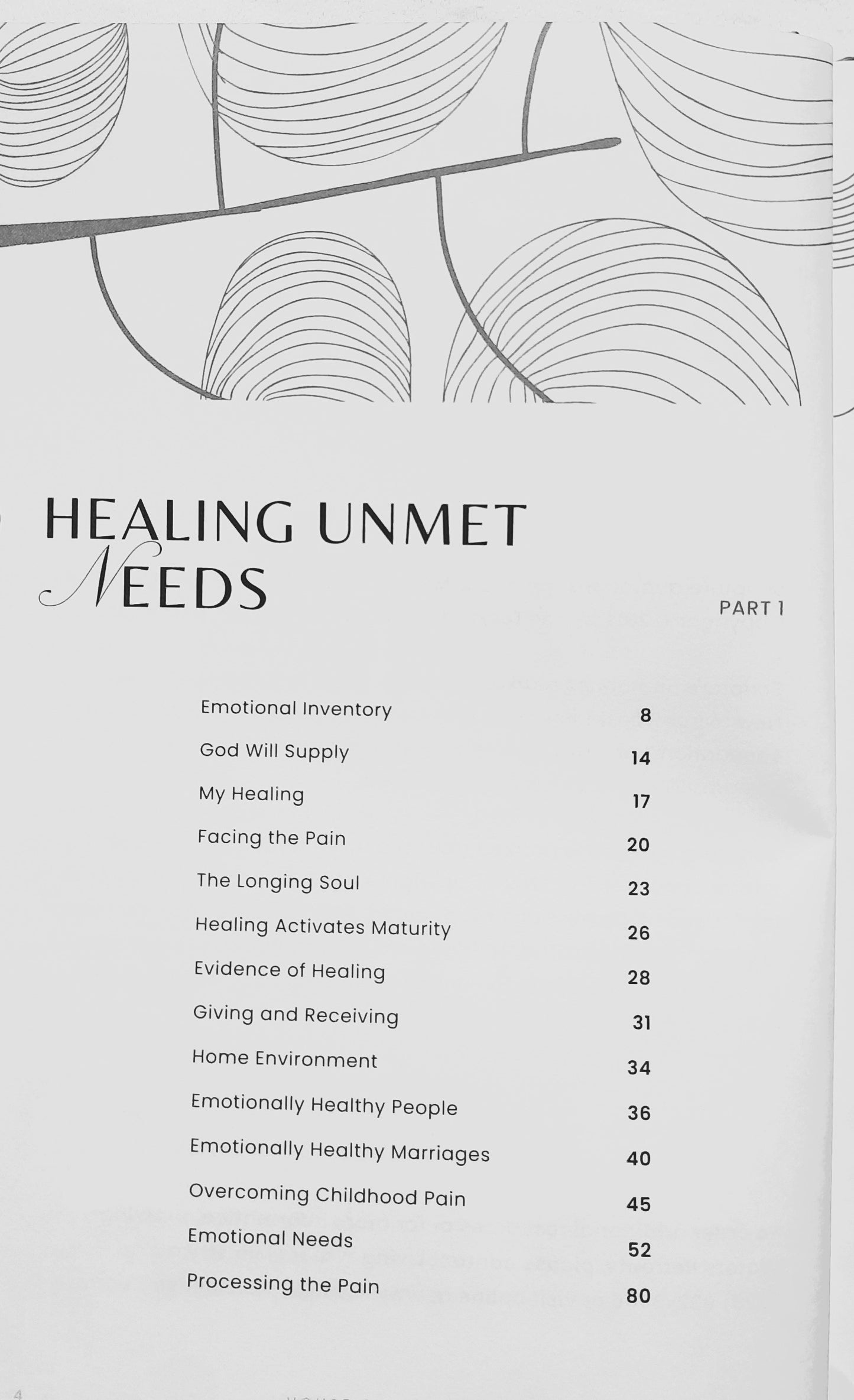 House of Healing von Denise Boggs (Sehr gut, 2023, gebunden, 142 Seiten, DayStar)