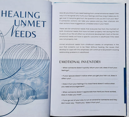 House of Healing von Denise Boggs (Sehr gut, 2023, gebunden, 142 Seiten, DayStar)