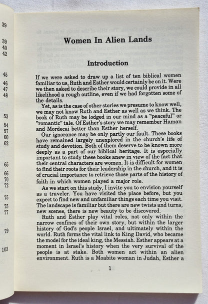 Ruth und Esther: Frauen in fremden Ländern von Johanna Bos (Gut, 1988, TB, 104 Seiten, General Board of Global Ministries)