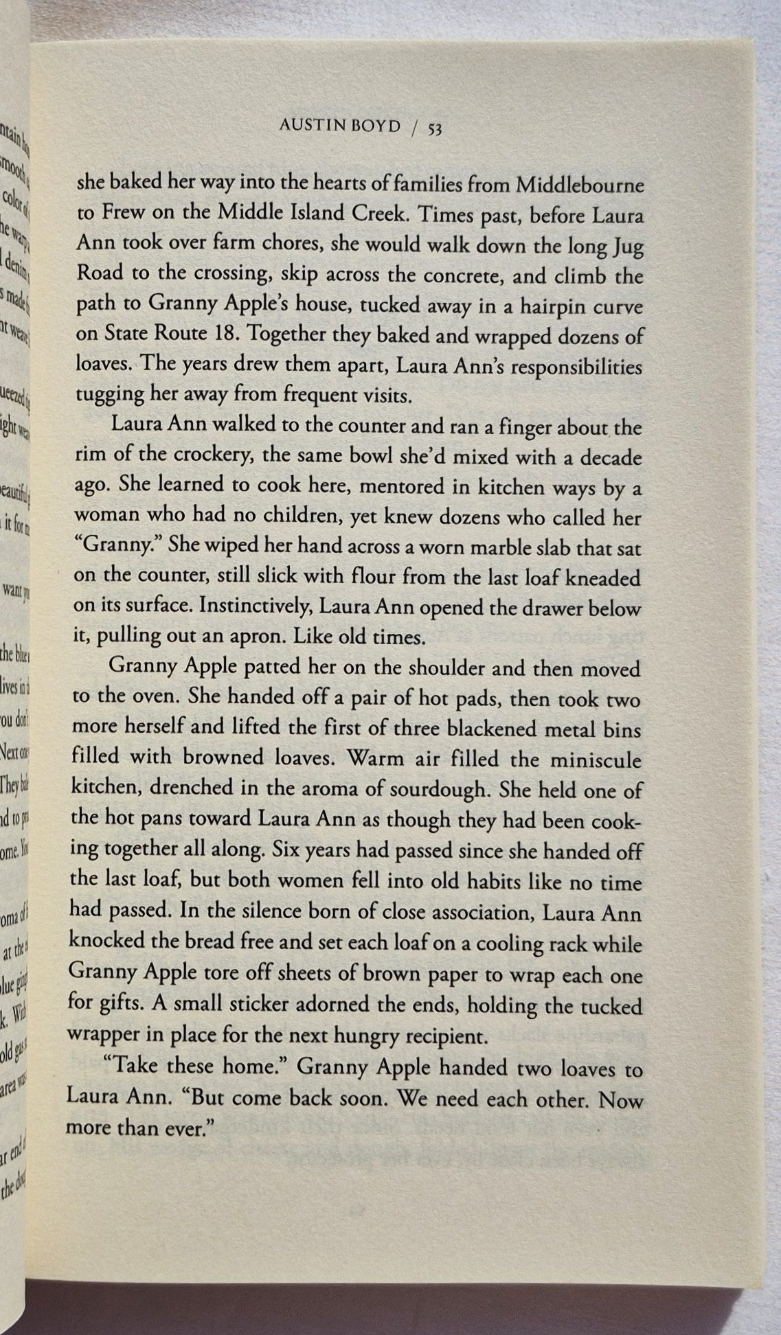 Niemandskind von Austin Boyd (Sehr gut, Taschenbuch, 2011, Zondervan, 336 Seiten)