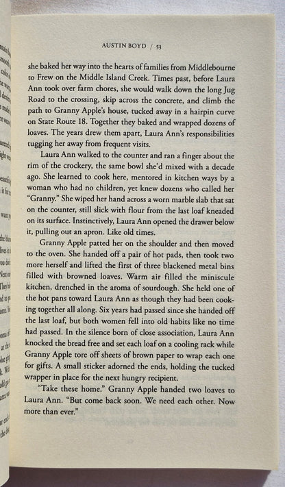 Niemandskind von Austin Boyd (Sehr gut, Taschenbuch, 2011, Zondervan, 336 Seiten)