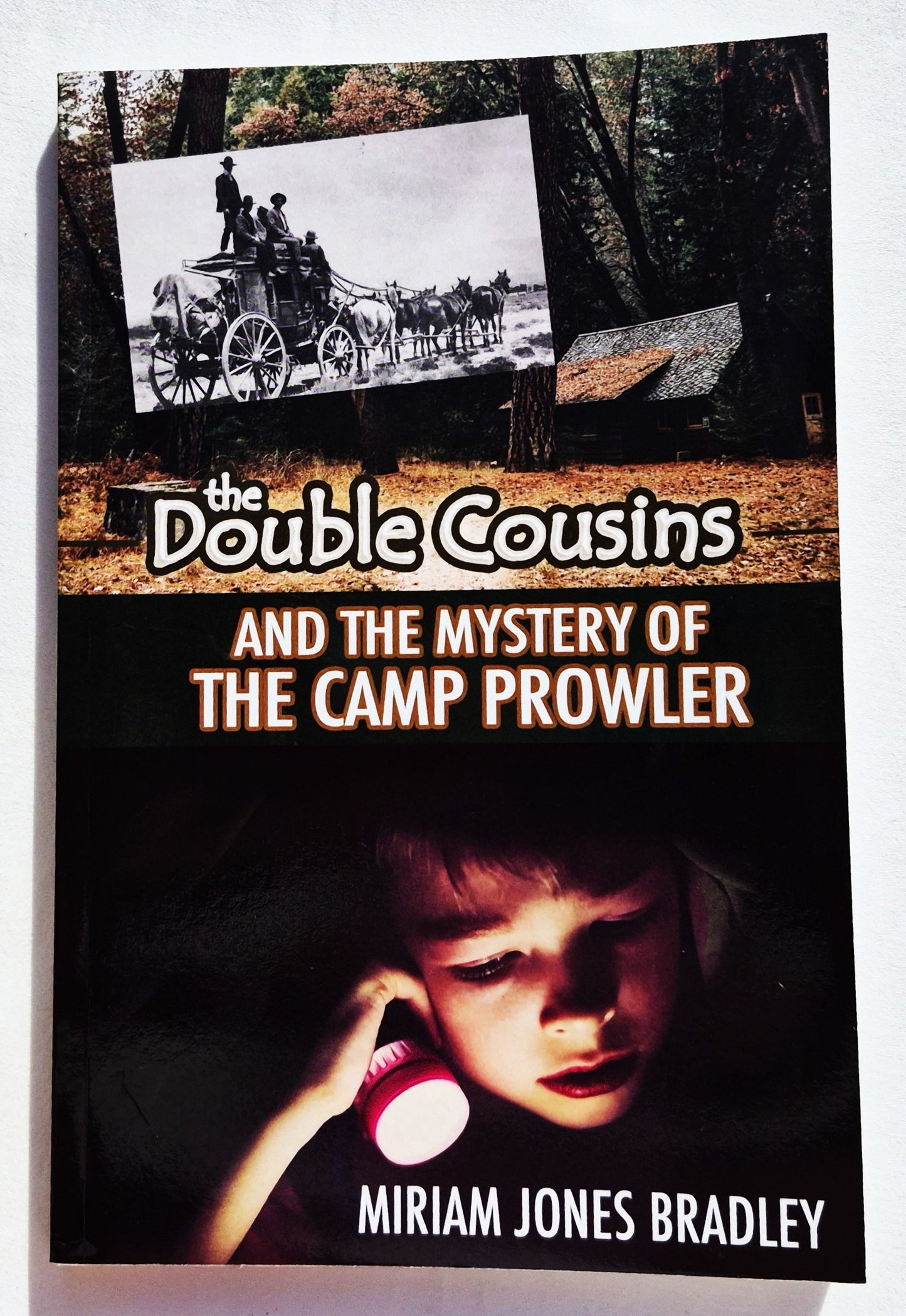 The Double Cousins and the Mystery of the Camp Prowler von Miriam Jones Bradley (Neu, 2020, Taschenbuch, 148 Seiten, Ambassador Int'l.)