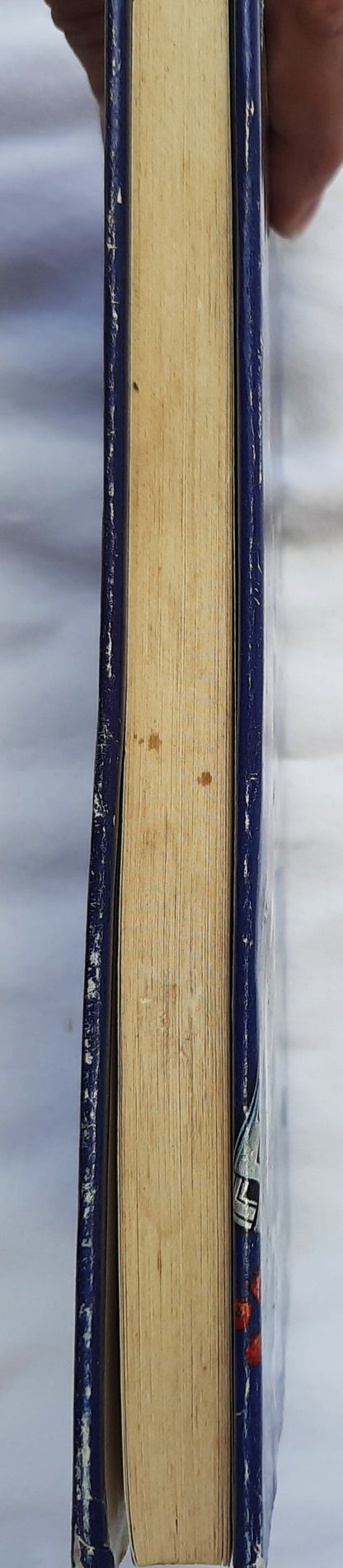 Die Katze, die so hoch hinaus wollte von Lilian Jackson Braun (Gut, 1990, HC, 182 Seiten, G.P. Putnam's Sons)