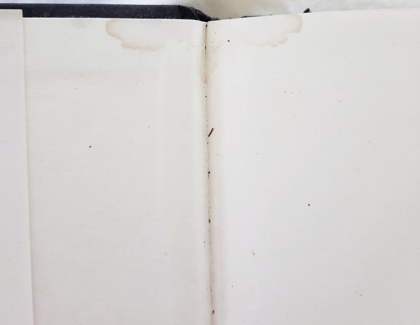 Die Katze, die so hoch hinaus wollte von Lilian Jackson Braun (Gut, 1990, HC, 182 Seiten, G.P. Putnam's Sons)