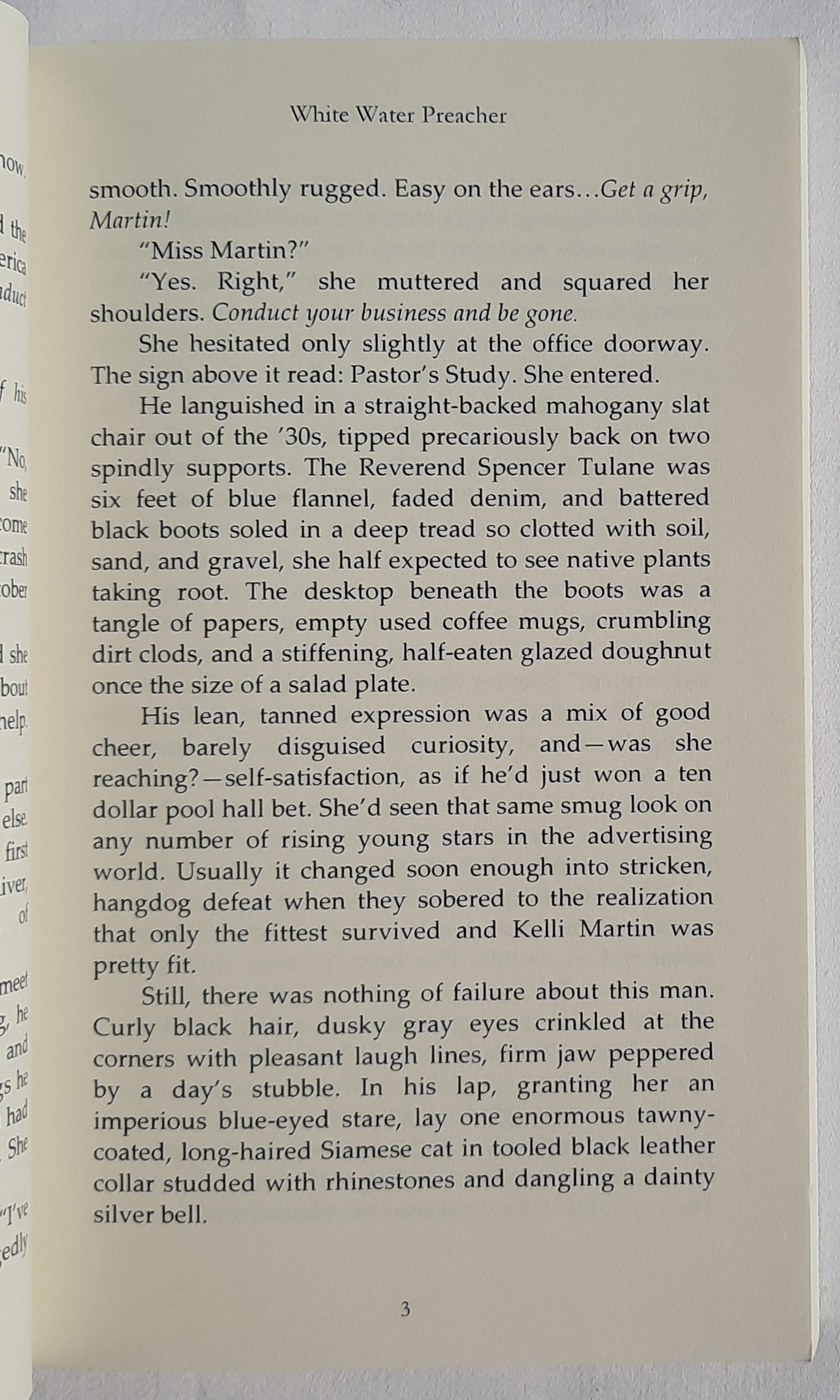 White Water Preacher by Carolyn Bravo (New, 2010,  Pbk, 240 pages, White Rose Pub.)