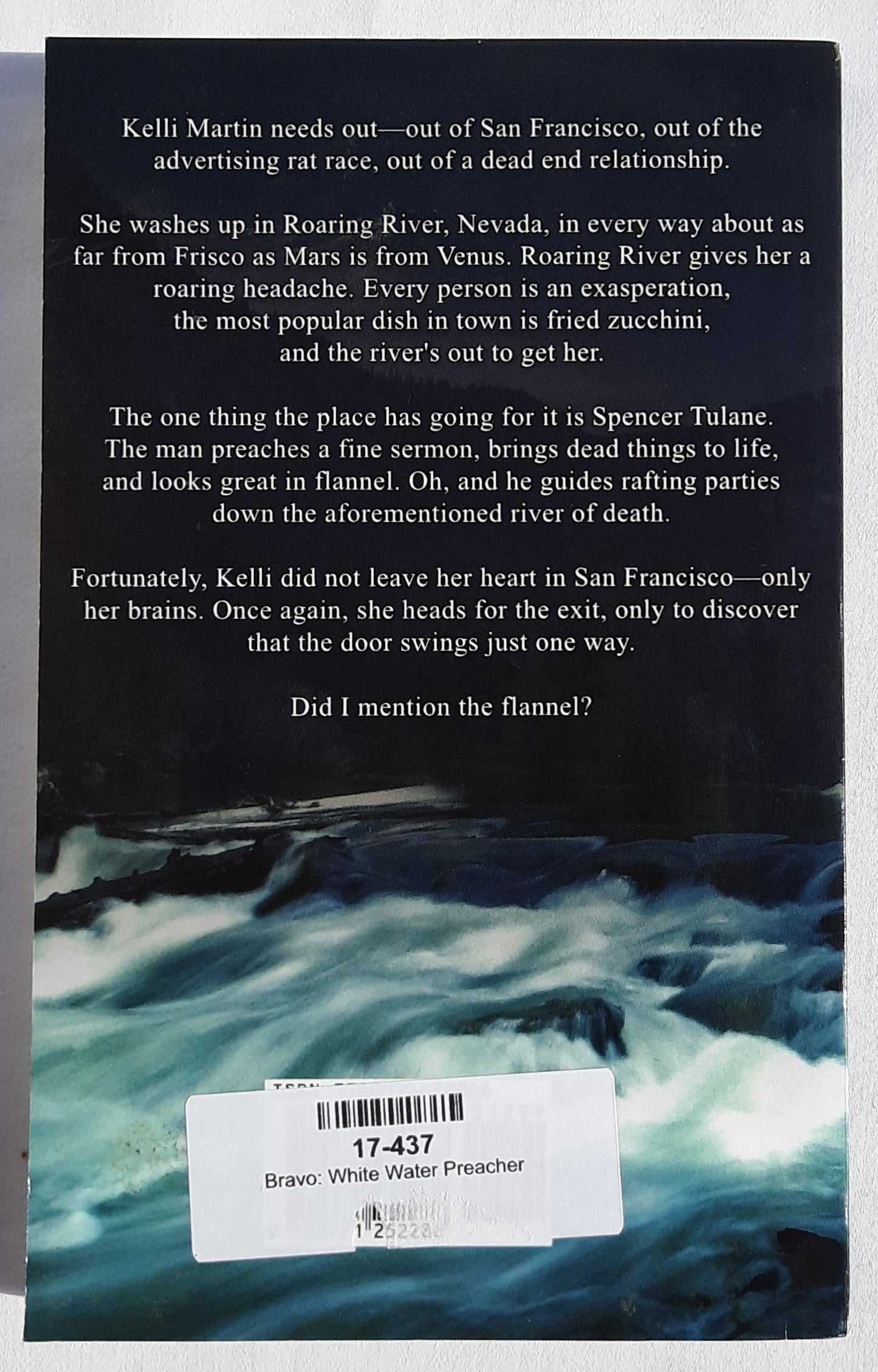 White Water Preacher by Carolyn Bravo (New, 2010,  Pbk, 240 pages, White Rose Pub.)