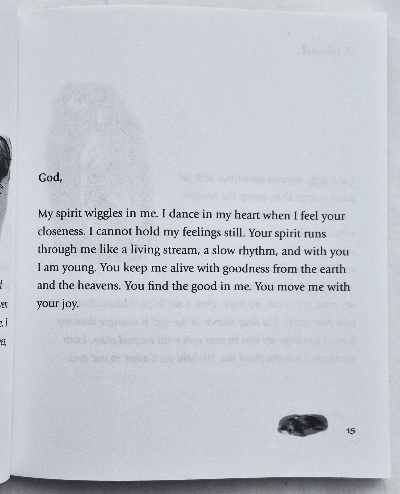 Dog Psalms: Prayers My Dogs Have Taught Me von Herbert Brokering (Sehr gut, 2004, Pbk, 64 Seiten, Augsburg Books)
